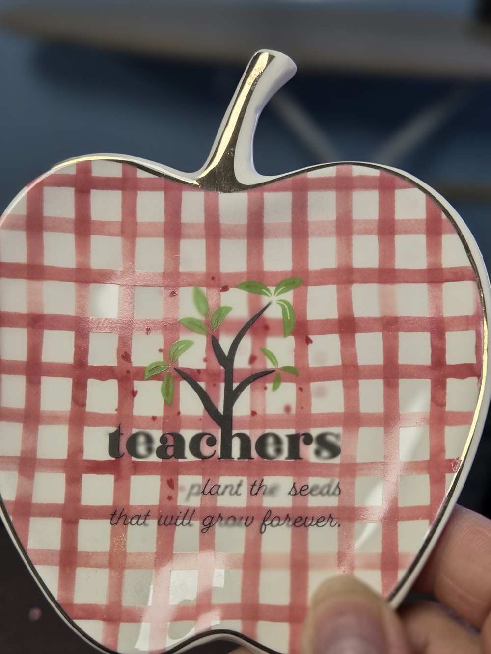 Teachers Apple Trinket Dish - Red Check Pattern